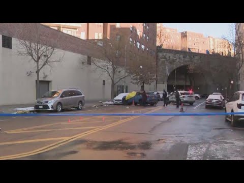 Driver gunned down in Bronx car on New Year’s Day: NYPD