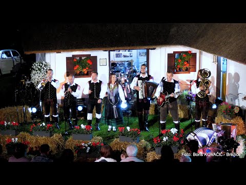 Petovia Kvintet - Vsak zase naj se briga (Avsenik) (v živo)