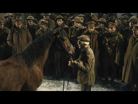 From the Field to the Battlefield: The War Saga of the Horse and the Deep Love of Master and Servant