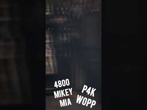 4800Mikey Mia x P4K Wopp - Digits (Official Audio)