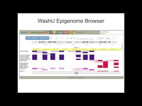 The ENCODE Encyclopedia and Variant Annotation Using RegulomeDB and HaploReg - Jill E. Moore