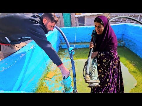 A Fresh Start on RAZ 🌊 | Cleaning the Pool & A New Chapter for Salahadin’s Family