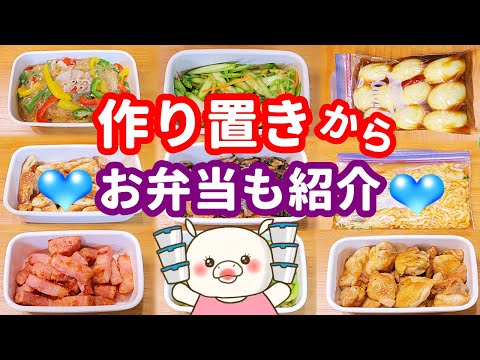 【9品作り置き】お弁当も紹介♪簡単で楽チンおかず!副菜も!【1週間作り置き】#262