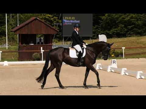 Mladší junioři 3. kolo – vJ (2022) – MČR v drezuře Brno, 17. 8. 2025