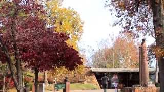 CULTURE KEEPERS: TOM MOONEY