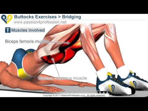 I-download ang video na tanggalin ang taba ng tiyan Mawalan ng Timbang sa L-carnitine review