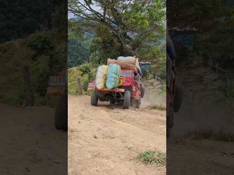los toyotas de Rovira Tolima, unas máquinas de carga #campo #café #toyota