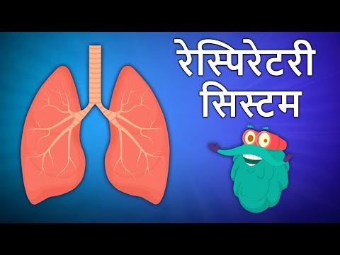 रेस्पिरेटरी सिस्टम | Respiratory System In Hindi | श्वसन तंत्र | Dr.Binocs Show | Binocs Ki Duniya