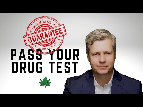 100% Guaranteed Way to Pass Your Marijuana Drug Test | This is the ONLY way to Successfully Pass