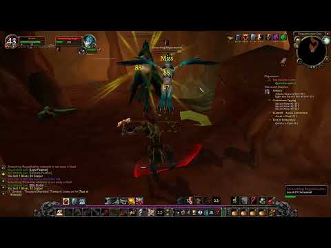 Test of Endurance - HC Warrior Solo