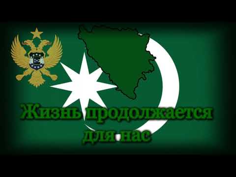 "Ima Bosne, Ima Muslimana!" - Есть Босния, Есть мусульмане - Русский Перевод!
