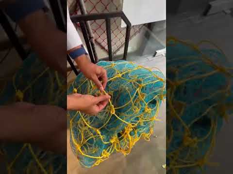 Safety Net