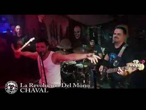 Video de La Revolución Del Mono