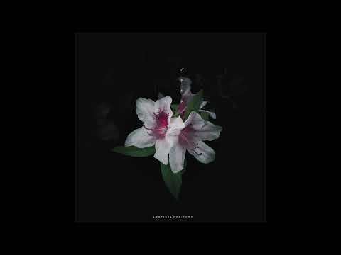 Lost in Algorithms - Half Remembered Dreams [album] (2024)