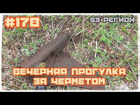 Вечерняя прогулка за черметом Нашли грибы