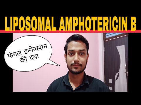 Ampholip 50 Mg Injection