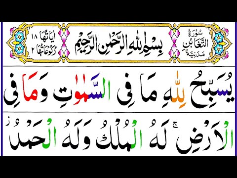 064.Surah At Taghabun Full [Surah Taghabun Panipati Voice] by Hafiz Muzzammil