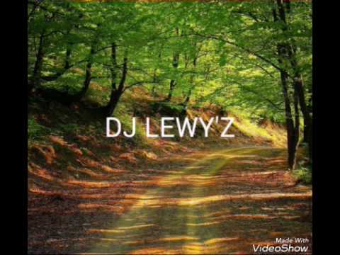 DJ LEWY'Z FT DJ DYLAN & MUNO (NEVER REGRET)