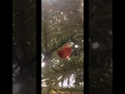 OSP Masza Dolna i Piekiełko 22.01.2023 Częstochowa