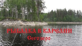 Куда съездить на рыбалку за красной рыбой