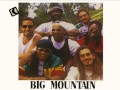big mountain island of love reggae hits