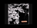Dolorean - To Destruction (Violence In The Snowy Fields, 2004)