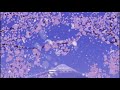 Amoxx Peach Blossom