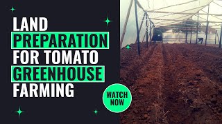 Land Preparation Process For Tomato Greenhouse Farming In Zimbabwe