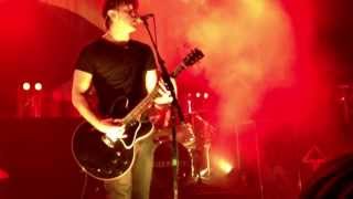 Walking Away-Sick Puppies