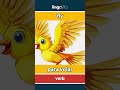 fly - para volar video thumbnail