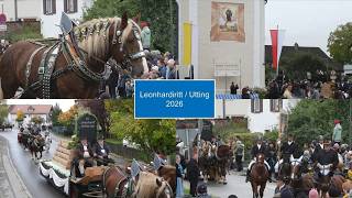 Leonhardiritt Utting 2026 | Leonhardifahrt am Ammersee | 4K