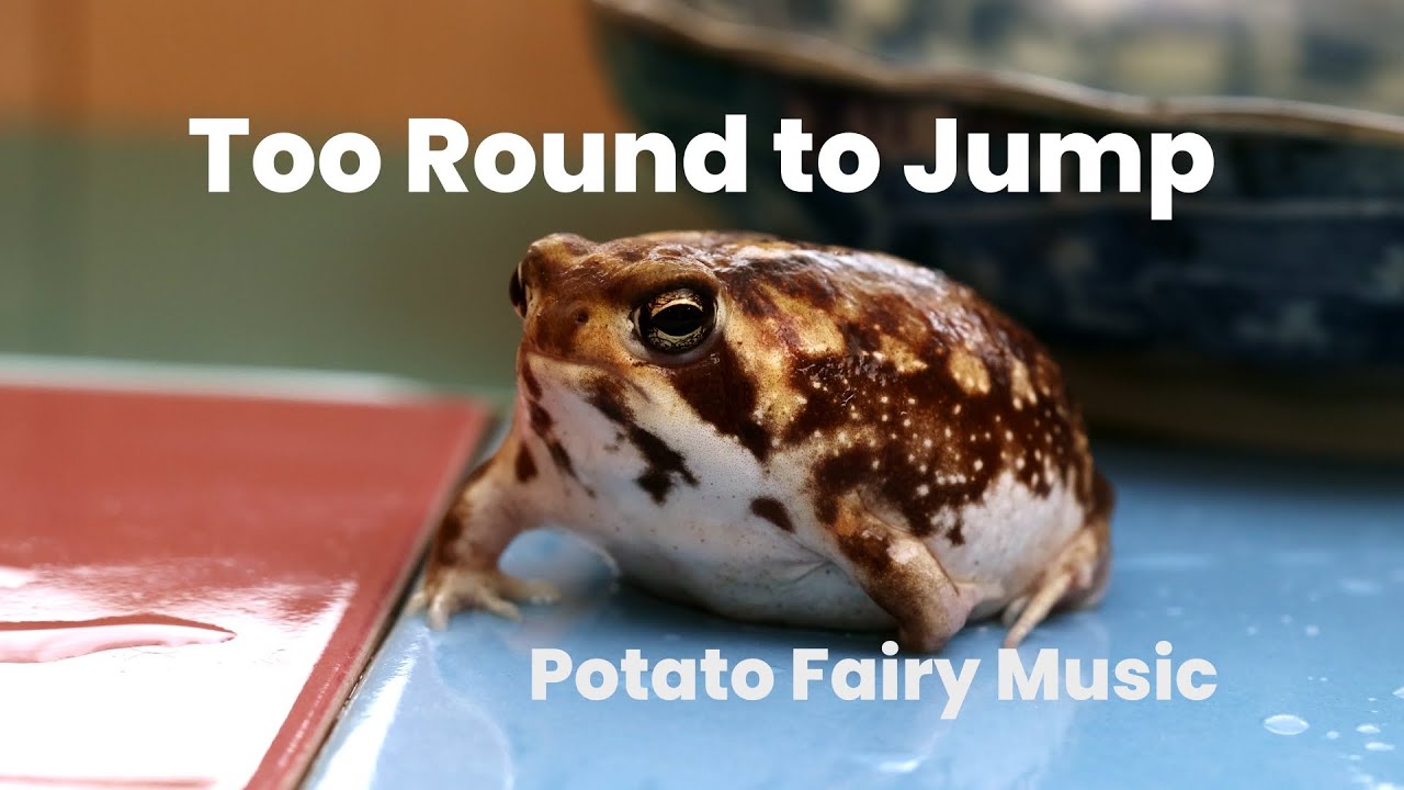 Too Round to Jump - Potato Fairy Music