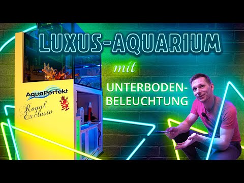 High-End Komplettset von AquaPerfekt und Royal Exclusiv  | AP-Reeftank Exklusiv |  #1