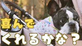ママへのサプライズしてみた🤭