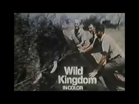 Super Bowl III (3) Commercial: NBC - Wild Kingdom (1969)