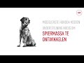 Royal Canin SHN Medium