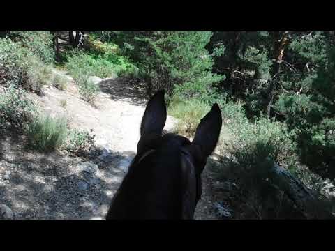 Senda Ortiz-Rutas a caballo en Madrid (Vol 7-10)