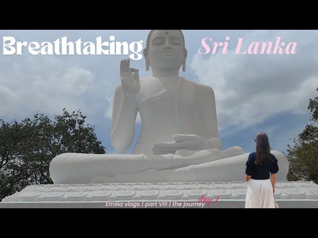 Travel vlog - Sri Lanka like I've Never Seen Before | vlog 8, part 2 | The journey