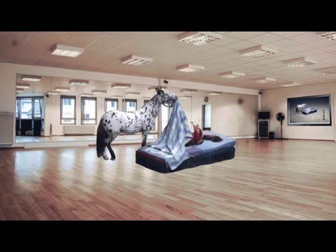 Das Lustige Pferd Scout lässt Rosi Hochegger nicht schlafen in GIF