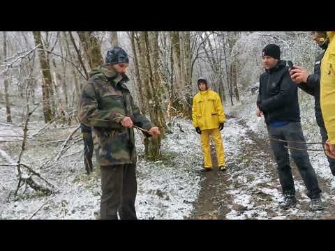 Inside Yasuní National Park: Exploring to Protect
