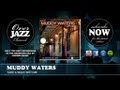 Muddy Waters - Take a Walk With Me (1942)