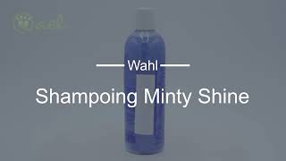 Le shampoing Minty Shine est un produit à double usage