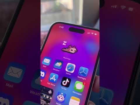 New kind of widget just dropped (app is Pixel Pals)