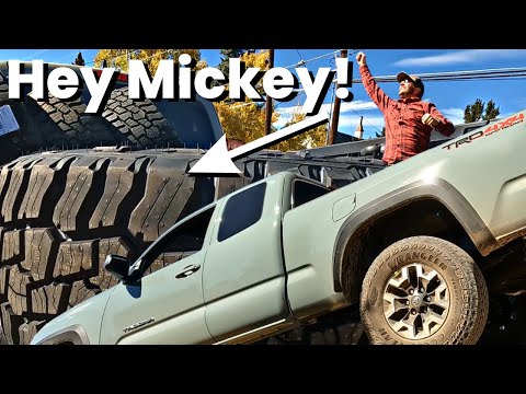 BEST TACOMA TIRES no lift? Mickey Thompson Baja Boss A/T Tires