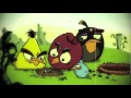 The Angry Birds - Rap video Official 