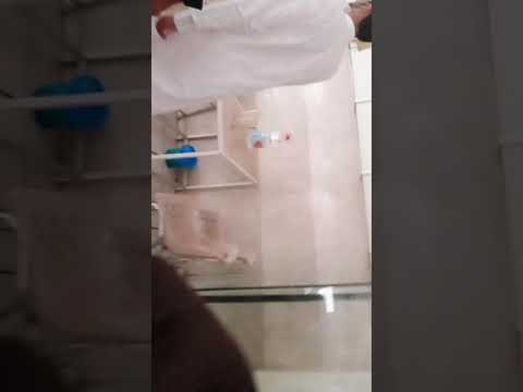 flora ice cream quetta