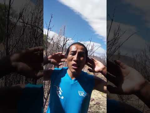 Holaaaaa Cantantes 🎤Otra Musiquita Invento Mío Siii 🎙️😜🎸 Bolivia Potosí Pocoata 🇧🇴