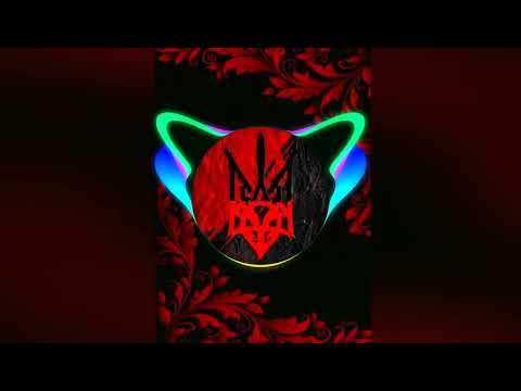 BTZ-залужний мутить двіж