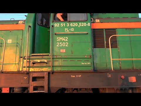 🇵🇱Güterzüge im schönsten🌞 Abendlicht in Polen, Kohlezug, Zementzüge, Schwellenzug