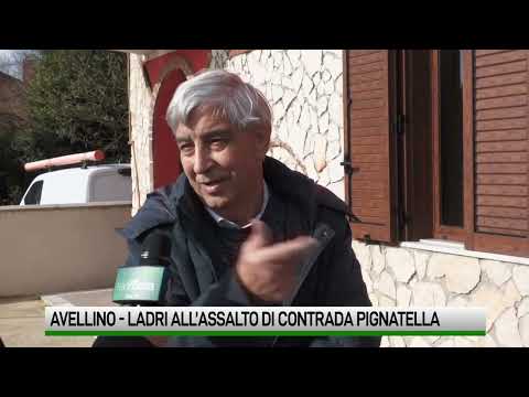 Tg Telenostra del 05 02 2026 ore 14.00. In tv seguici su canale 119